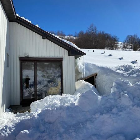 Blackberry House Zabljak 外观 照片