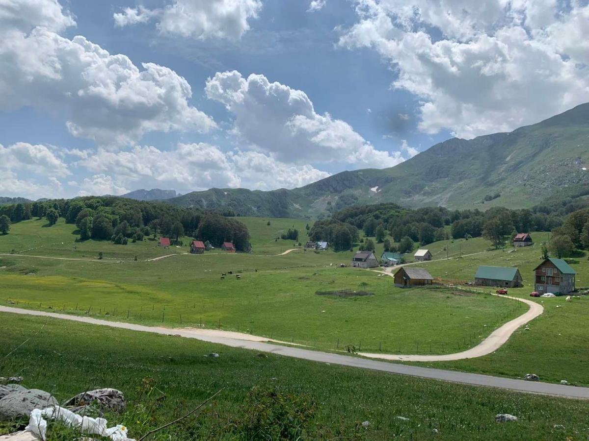 Blackberry House Zabljak 外观 照片