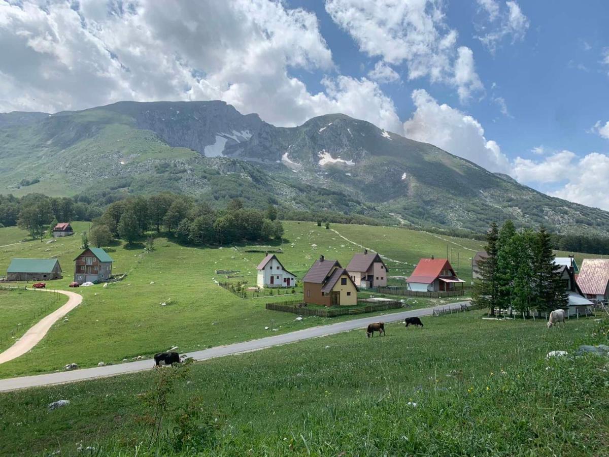 Blackberry House Zabljak 外观 照片