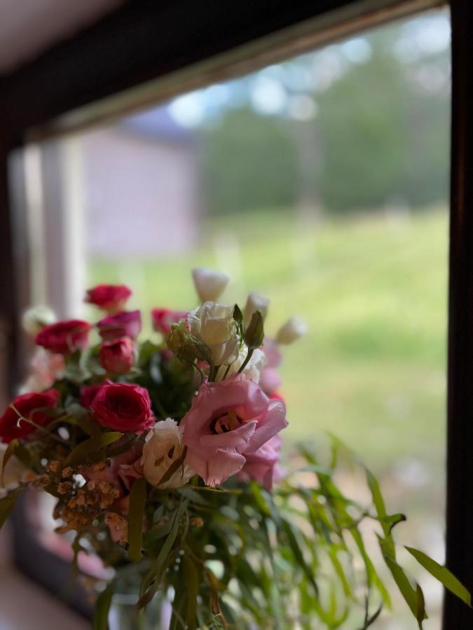 Blackberry House Zabljak 外观 照片
