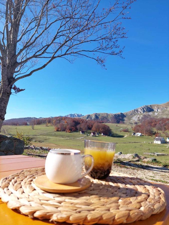Blackberry House Zabljak 外观 照片
