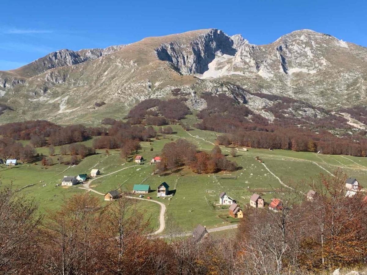 Blackberry House Zabljak 外观 照片