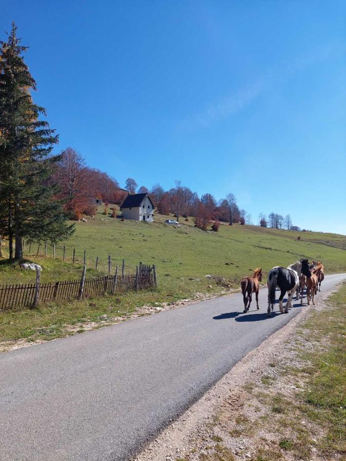 Blackberry House Zabljak 外观 照片