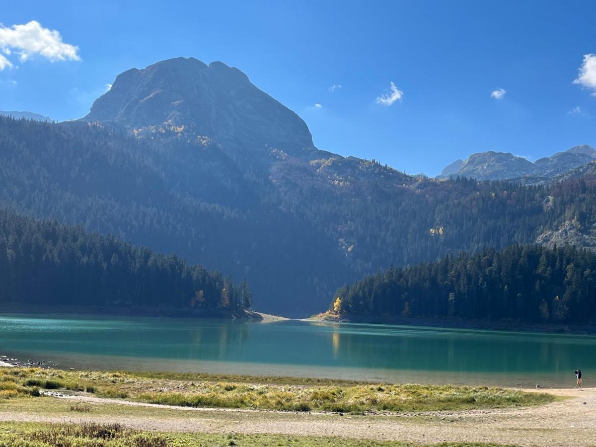 Blackberry House Zabljak 外观 照片