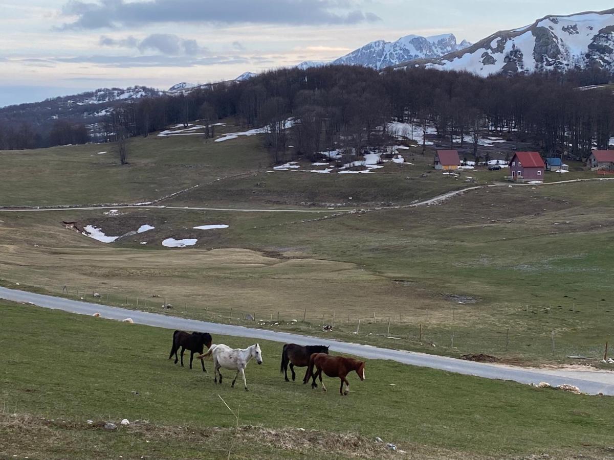 Blackberry House Zabljak 外观 照片