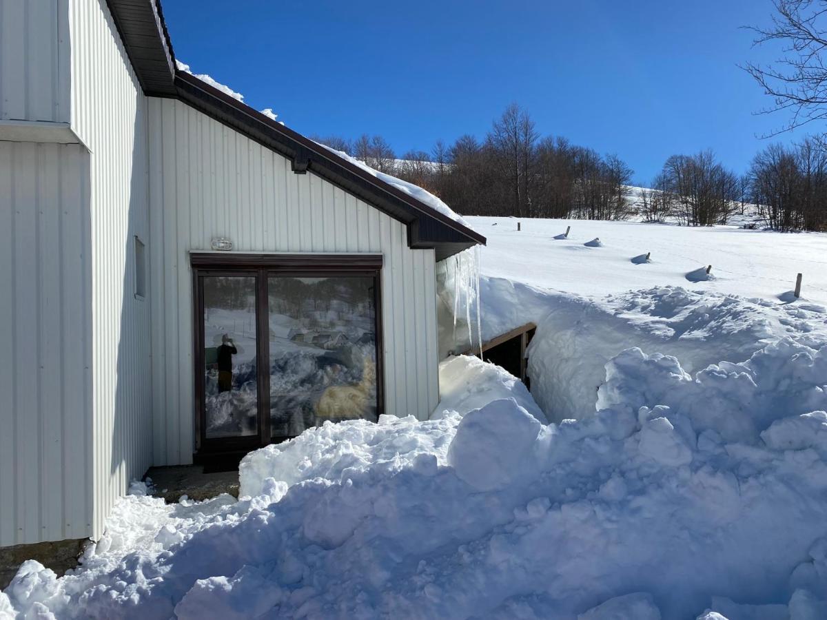 Blackberry House Zabljak 外观 照片